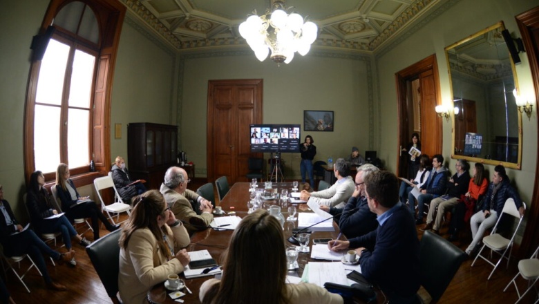 Senado bonaerense: expusieron defensores del proyecto de pirotecnia cero